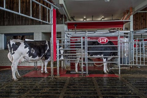 jm_001_Landwirtschaft_25-243.jpg