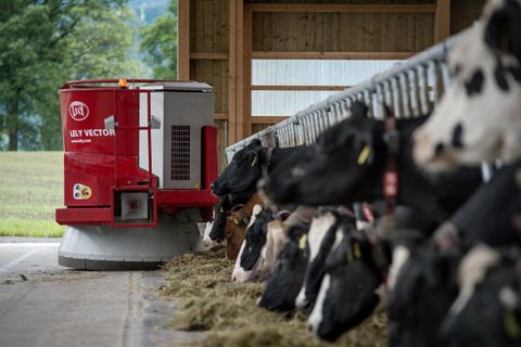 jm_001_Landwirtschaft_21-249.jpg