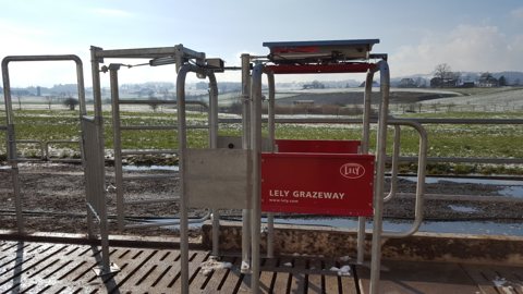 Grazeway-9.jpg